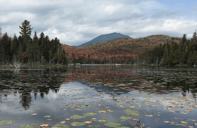 Public access to Boreas Ponds is open - Protect the Adirondacks!