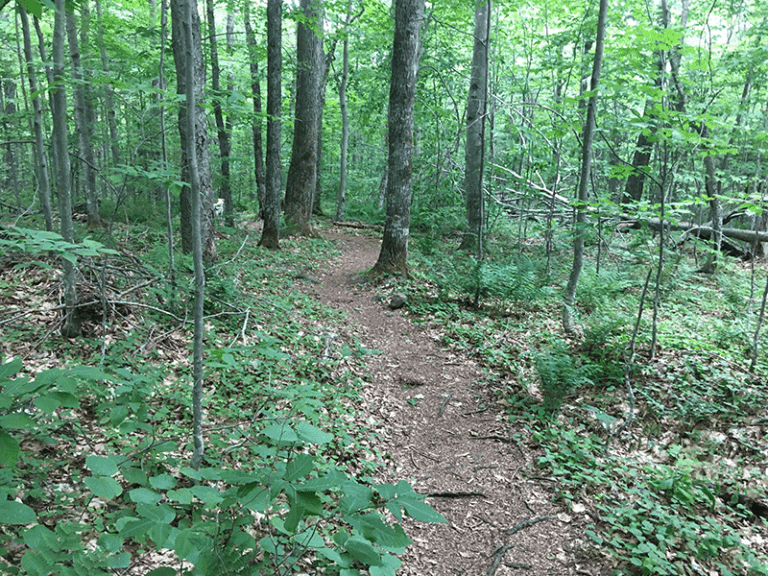 Hike Sawyer Mountain - Protect the Adirondacks!