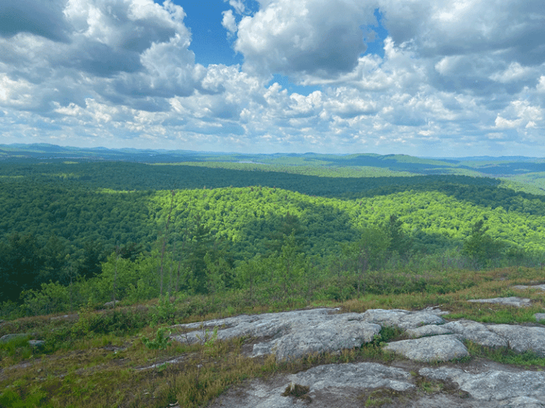 Hike Coney Mountain - Protect the Adirondacks!