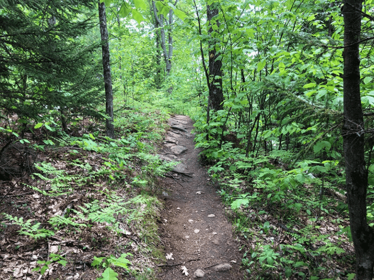 Moxham Mountain is a unique and spectacular hike that includes a dozen ...