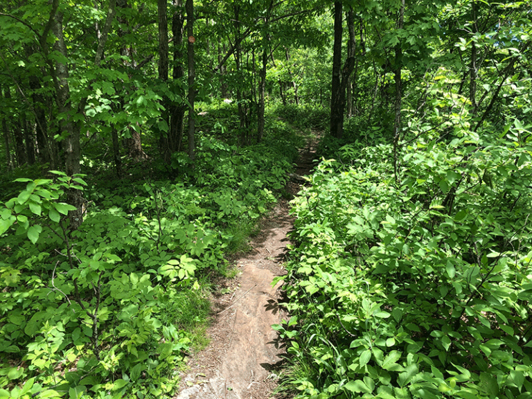 Hike Chimney Mountain - Protect the Adirondacks!