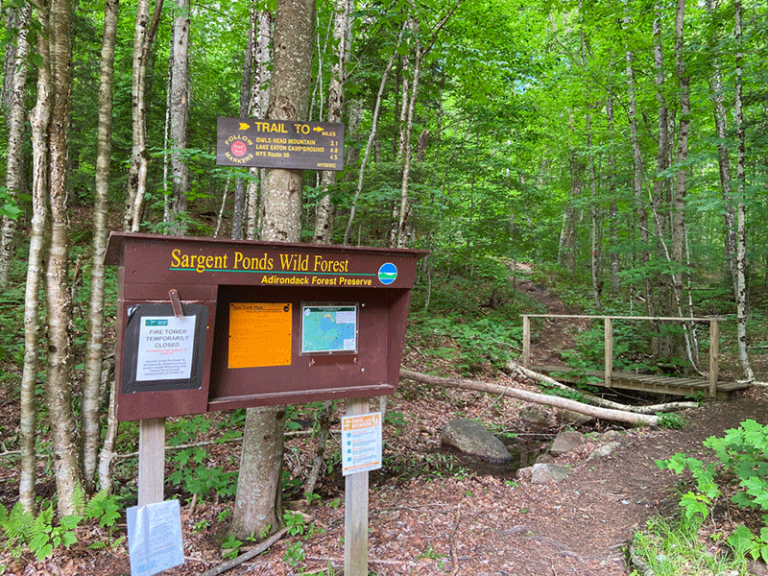 Hike Owls Head Mountain in Long Lake - Protect the Adirondacks!