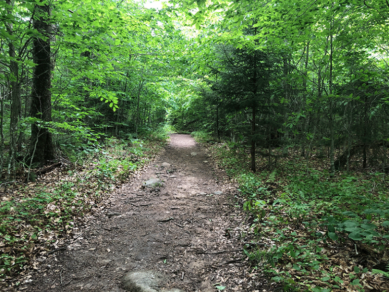 Hike Stillwater Mountain - Protect the Adirondacks!