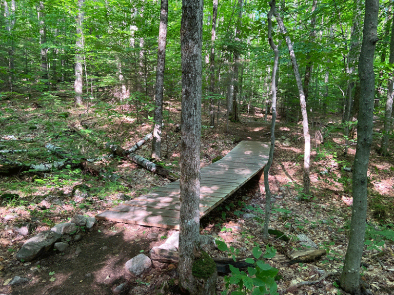 Hike Catamount Mountain - Protect the Adirondacks!