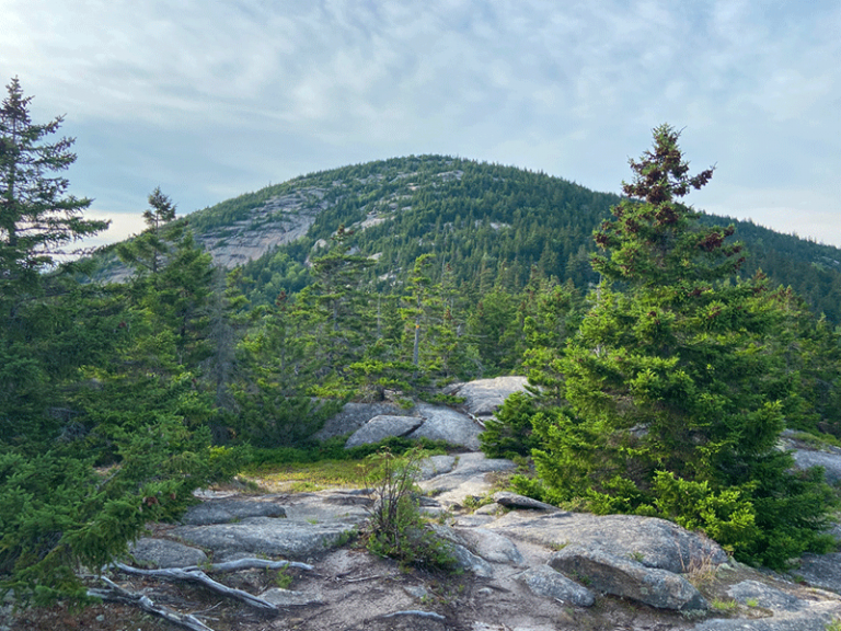 Hike Catamount Mountain - Protect the Adirondacks!