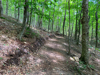 Hike Cobble Lookout - Protect the Adirondacks!