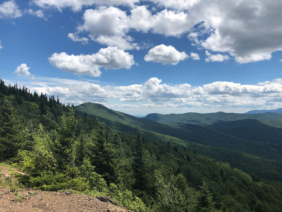 Hike Jay Mountain - Protect the Adirondacks!