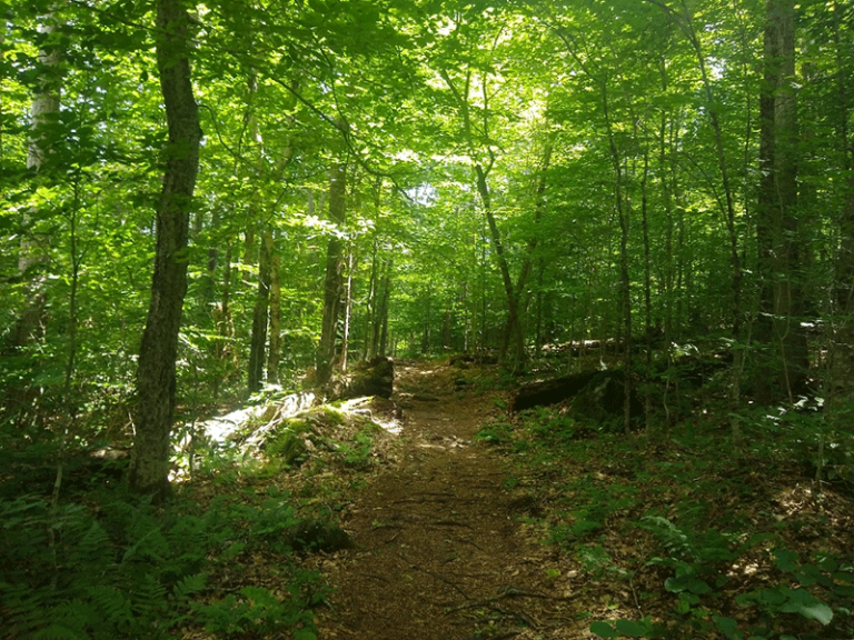 Hike Kane Mountain - Protect the Adirondacks!