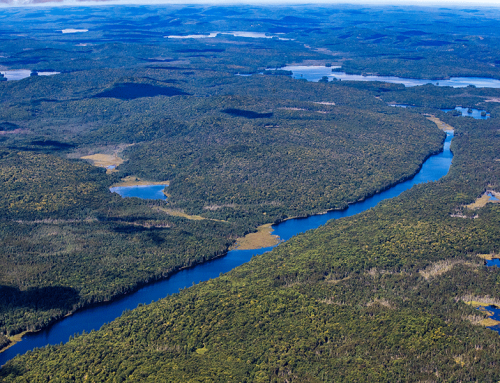 The future of the 36,000-acre Whitney Park