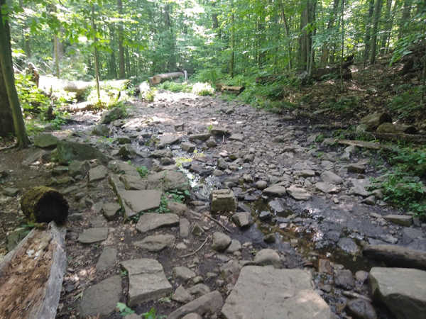 Hike Sleeping Beauty Mountain - Protect the Adirondacks!