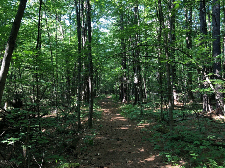 Hike Split Rock Mountain (South Trails) - Protect the Adirondacks!