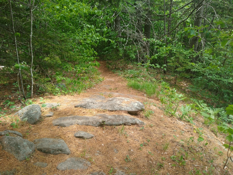 Hike to Blue Ledges on the Hudson River - Protect the Adirondacks!