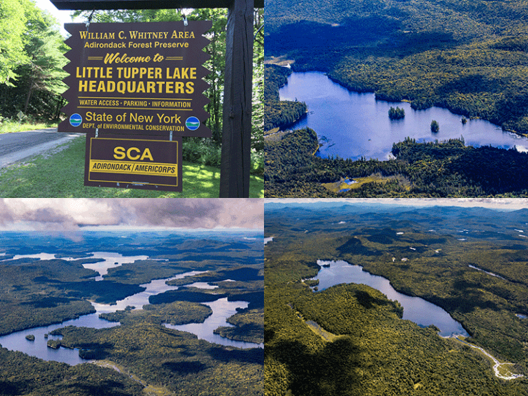 Help save Whitney Park - Protect the Adirondacks!