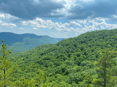 Hike Bald Mountain (Giant Mountain Wilderness) - Protect the Adirondacks!