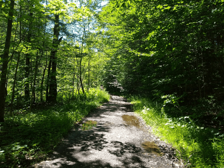 Hike Black Mountain - Protect the Adirondacks!