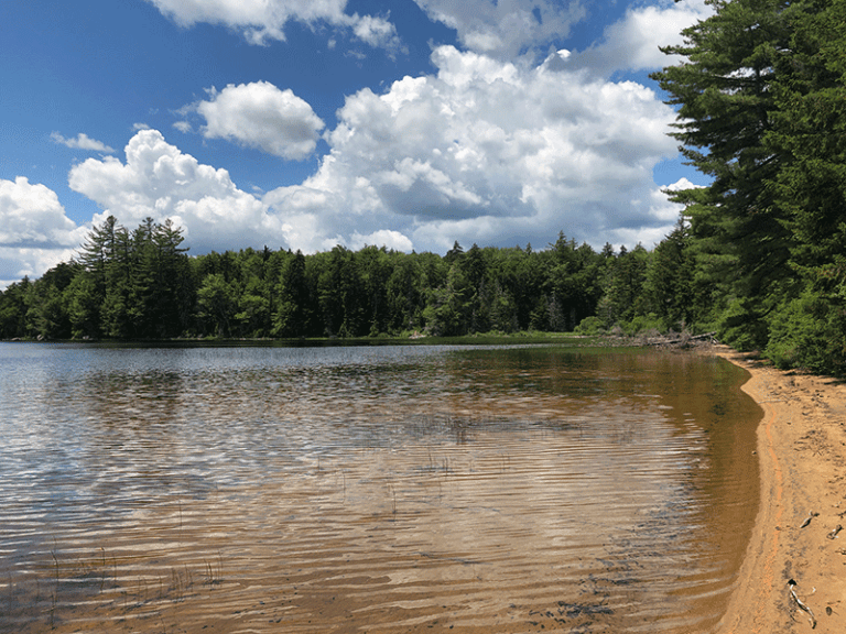 Fawn Lake - Protect the Adirondacks!