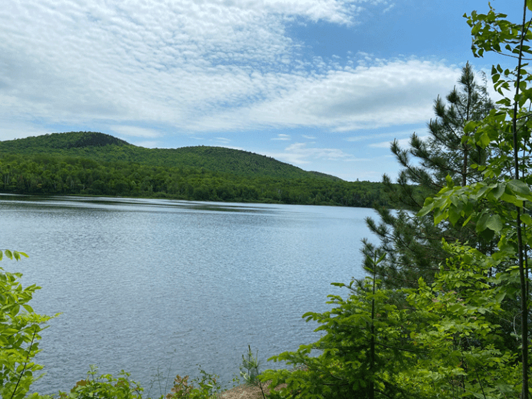 Hour Pond - Protect the Adirondacks!