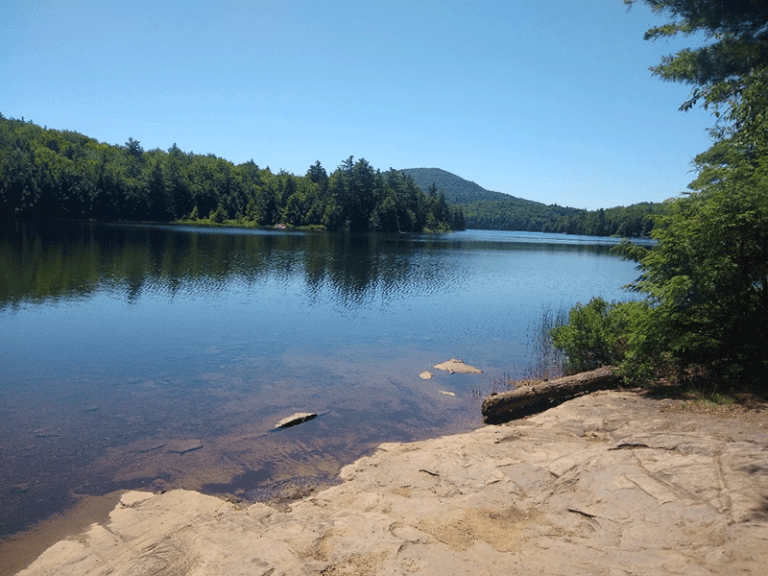 Jake Pond and Little Jabe Pond - Protect the Adirondacks!