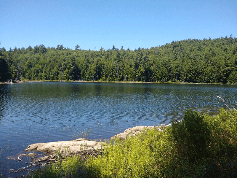 Ponds For Paddleboats and Fishing At Lake George RV Resor