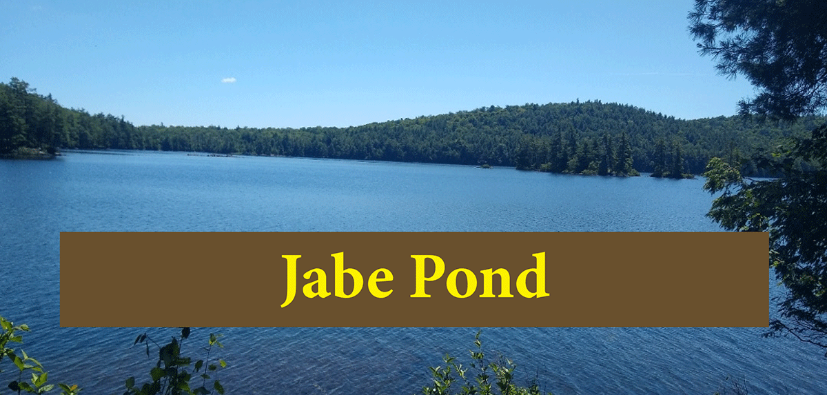 Best Small Pond in the Adirondacks?