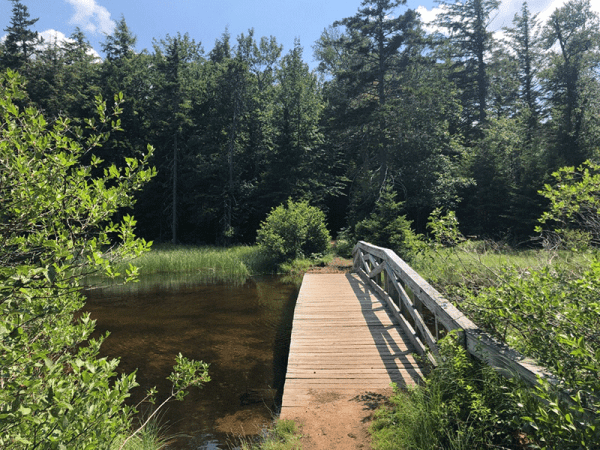 Moss Lake Protect The Adirondacks