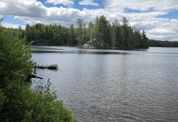 Pine Lake - Protect the Adirondacks!