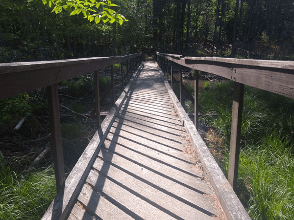 Hike Tongue Mountain - Protect the Adirondacks!