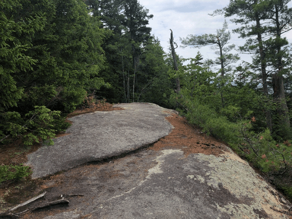 Watch Hill - Protect the Adirondacks!