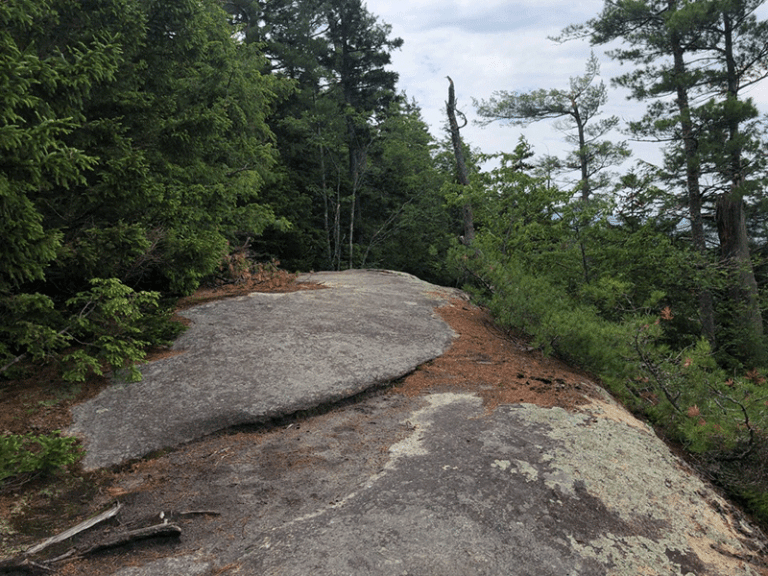 Watch Hill - Protect The Adirondacks!