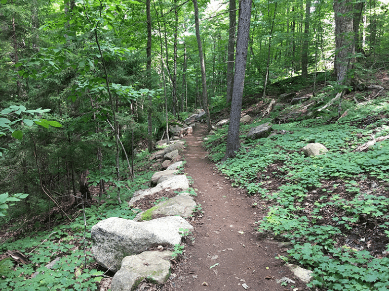 New model sustainable hiking trail on Mount Van Hoevenberg nears ...