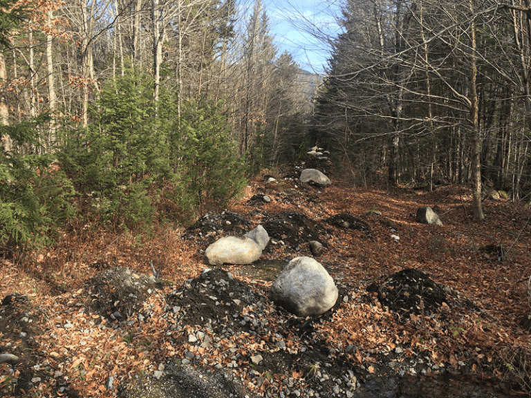 NYSDEC’s Management Fiasco in the High Peaks Wilderness Area - Protect ...