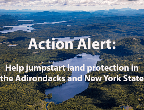 Public comments needed by August 30th on New York’s goal to protect 30% of the state’s land and waters by 2030