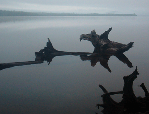 Remembering Dale Jeffers (1944-2024), a founding member of Protect the Adirondacks