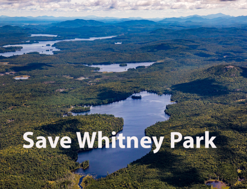 Help save Whitney Park