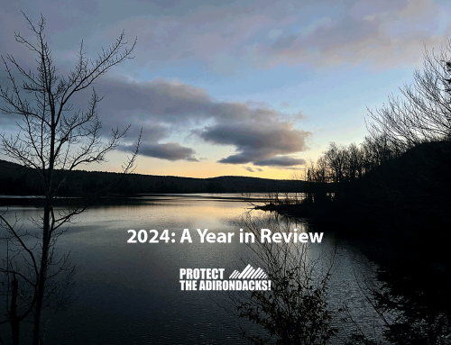 2024: A year-end review of our efforts to push for more land, water and wildlife protection