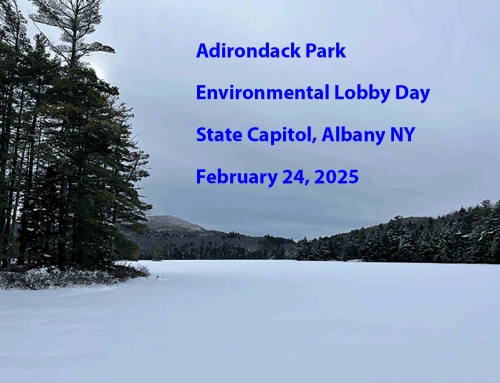 Join us for Adirondack Park Environmental Lobby Day on Monday February 24, 2025